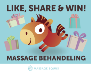 massage_equus_actie_sint