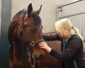 jennefer luijt osteopathie paarden osteopaat amstelveen