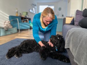 Labradoodle sport masaage voor honden